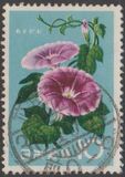 [Japanese Flowers, 類型 AJE]