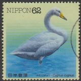[Water Birds - Whooper Swan & Greater Painted-snipe, type CIU]