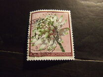 [Meadow Flowers, タイプ BRY]