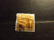 [Crop Plants – Grain, Tip BVQ]