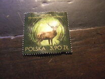 [The 100th Anniversary of the Hunting Association of Poland, tip JTR]