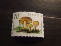 [Wild Mushrooms, type AHI]