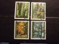 [The Four Seasons of the Forest, тып ZK]
