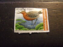 [Birds - Kanoetstrandloper - Red Knot - Registered Letter Stamp, type XLY]