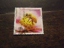 [Fauna - Bees, type CRH]