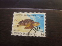 [Endangered Animals, Tip AWP]