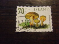 [Wild Mushrooms, type AHI]