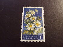 [Flowers & Monte Titano, タイプ IW]