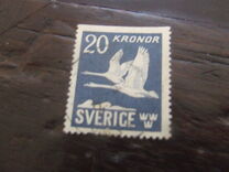 [Birds - Swans, jenis BW]