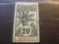 [Oil Palms, type XYB]