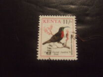 [Birds, Typ VI]