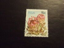 [Flora - Protea Plants, tyyppi PQ]