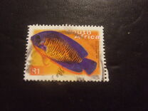 [Fauna and Flora - Fish, Typ ASS]