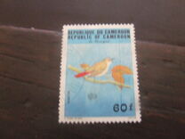 [Birds, प्रकार AAP]