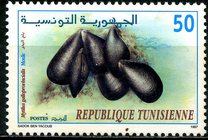 [Molluscs, 类型 AIK]