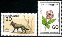 [Animals and Flowers, tip AEU]