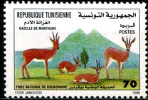 [World Day of Biodiversity - Boukornine National Park, тип AKL]