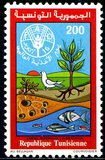 [World Food Day, type VG]