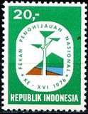 [Reforestation Week, 类型 AGF]