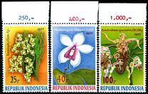 [Orchids, type AHJ]
