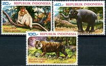 [Wildlife, type AHO]