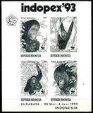 [Endangered Animals - The Orangutan, type AXB]