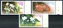 [Flowers, tip BBM]