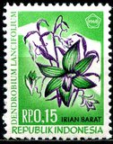 [Flora & Fauna, tegund G]