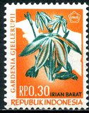 [Flora & Fauna, tegund H]