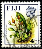[Birds and Flowers, type GC]