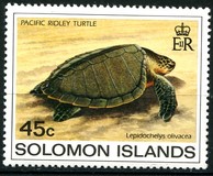 [Turtles, Tip MU]