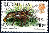 [Wildlife, type IH]