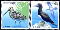[Water Birds - Latham's Snip & Brown Booby, type CHE]