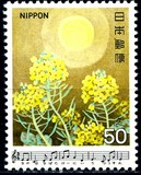 [Japanese Songs, type BJC]