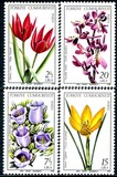 [Flowers, type BUJ]