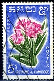 [Cambodian Flowers, Tip AJ]