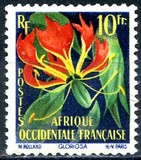 [Flowers, Tipo BU]