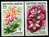[Flowers, වර්ගය CT]