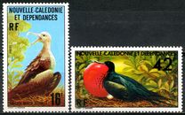 [Great Frigatebirds, type KZ]