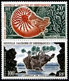 [Airmail - Marine Life and Rock Formation, Scrivi CS]