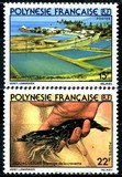 [Fish Hatchery, Scrivi KF]
