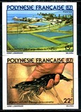 [Fish Hatchery, Scrivi KF]