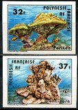 [Corals, Scrivi JC]