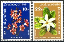 [Flowers, タイプ IY]