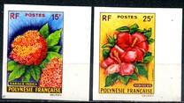 [Flowers, type N]