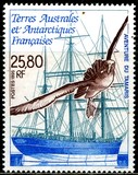 [Voyage of "Tamaris" (Full-rigged Ship), type LE]