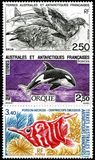 [Antarctic Fauna, ประเภท JX]