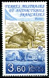 [Antarctic Fauna, Scrivi IW]