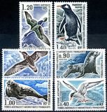 [Animals of Antarctica, type CS]