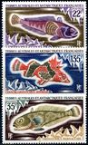 [Fish, タイプ BJ]
